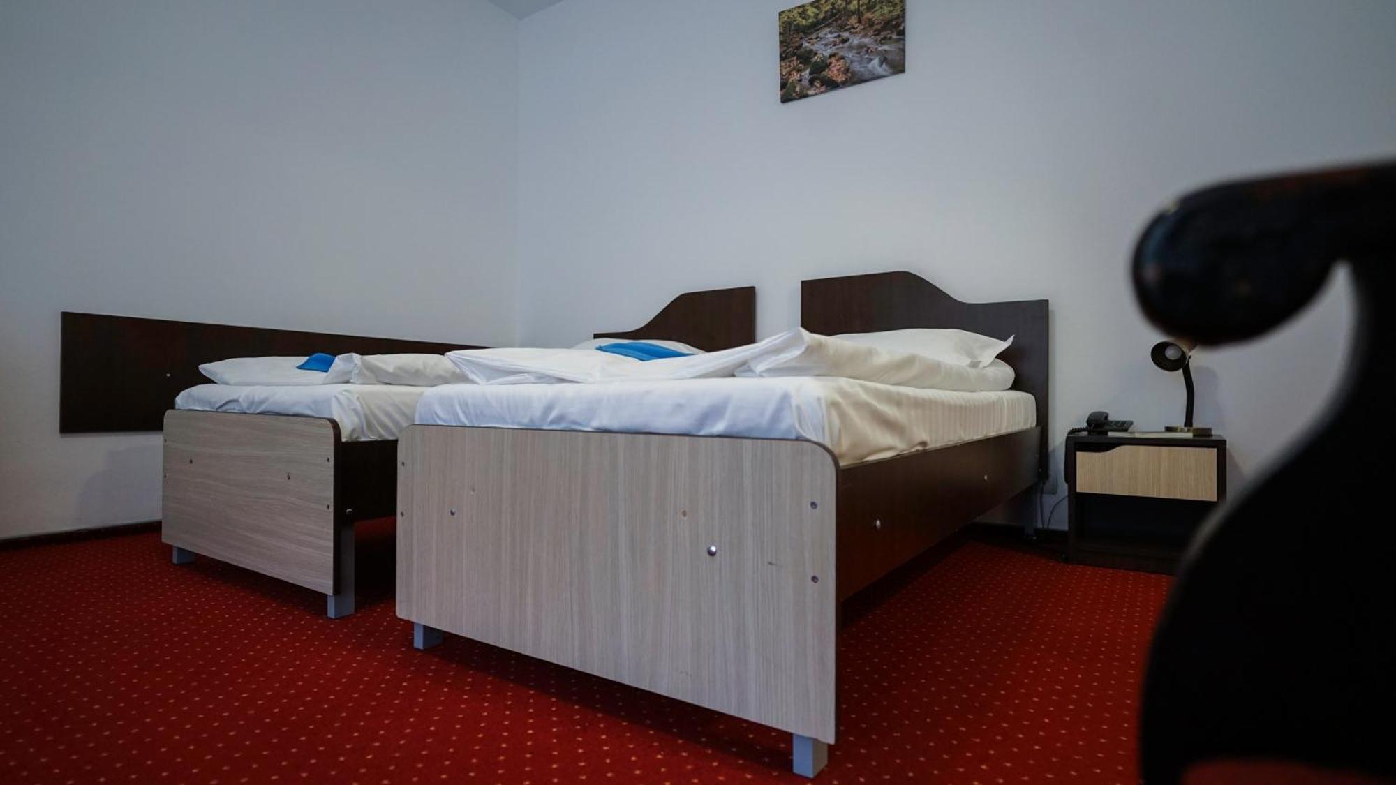 Vila Trandafirul Si Liliacul Hotell Caciulata Eksteriør bilde